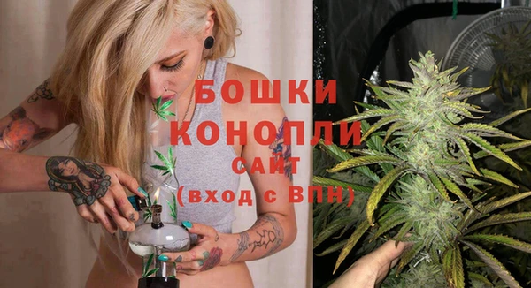 прущий лед Абаза