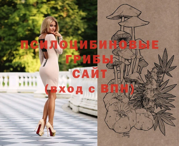 МДПВ Алексеевка