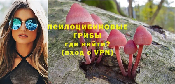 МДПВ Алексеевка
