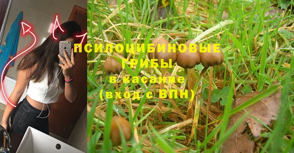 мяу мяу кристалл Алексин