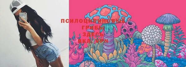 прущий лед Абаза