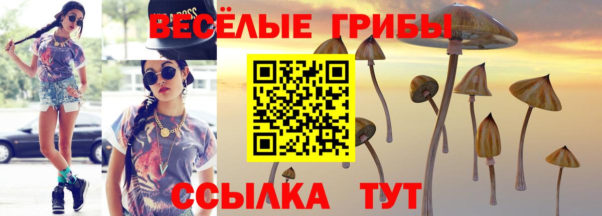 Псилоцибиновые грибы Psilocybine cubensis Энгельс