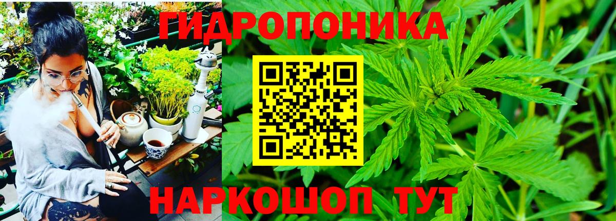 Шишки марихуана ГИДРОПОН  Бошки марихуана планчик  Бошки Шишки гибрид  Вход с VPN  Энгельс 